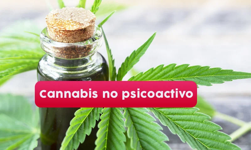 cannabis-no-psicoadictivo